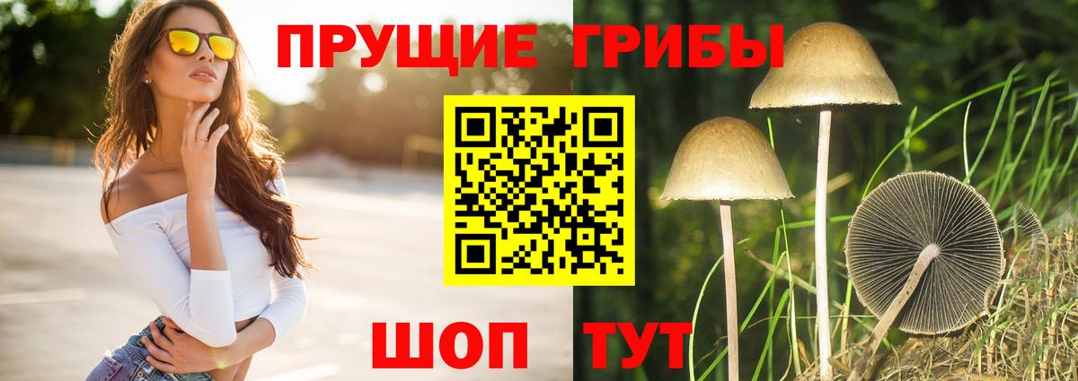 Чапаевск  Псилоцибиновые грибы ЛСД  Вход с VPN  Псилоцибиновые грибы мицелий 